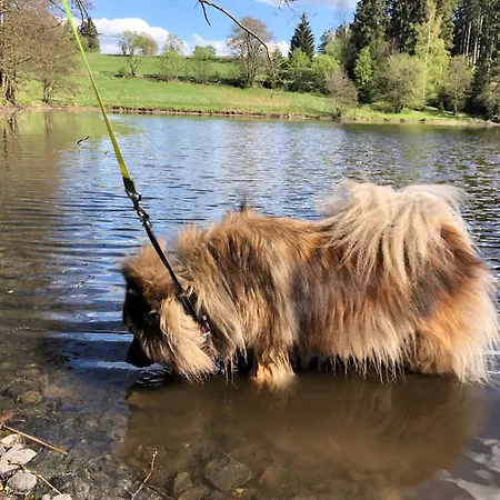 Tiny House - Auszeit Im Wald Am Badesee Tanna