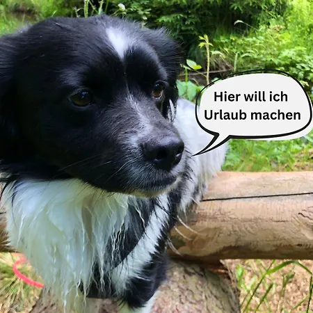 Vakantiehuis Tiny House - Auszeit Im Wald Am Badesee *