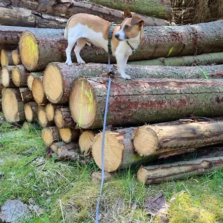 Tiny House - Auszeit Im Wald Am Badesee * Tanna