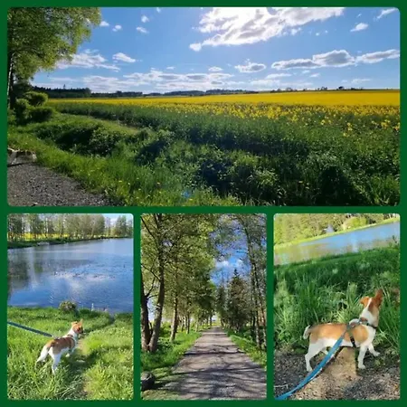 Tiny House - Auszeit Im Wald Am Badesee Vakantiehuis *