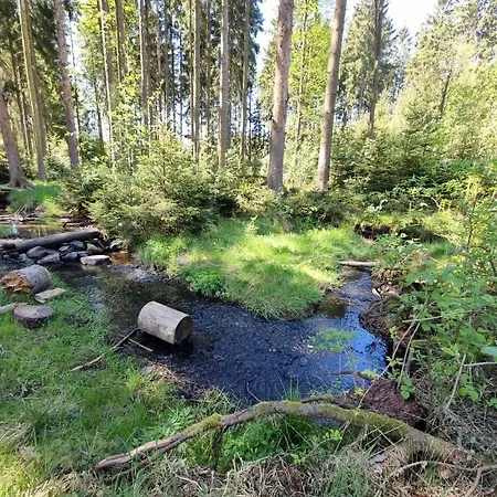 Tiny House - Auszeit Im Wald Am Badesee Vakantiehuis