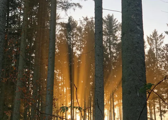 Tiny House - Auszeit Im Wald Am Badesee Vakantiehuis