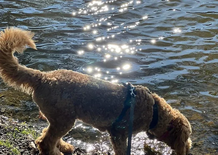 Vakantiehuis Tiny House - Auszeit Im Wald Am Badesee