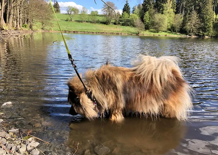 Tiny House - Auszeit Im Wald Am Badesee Tanna