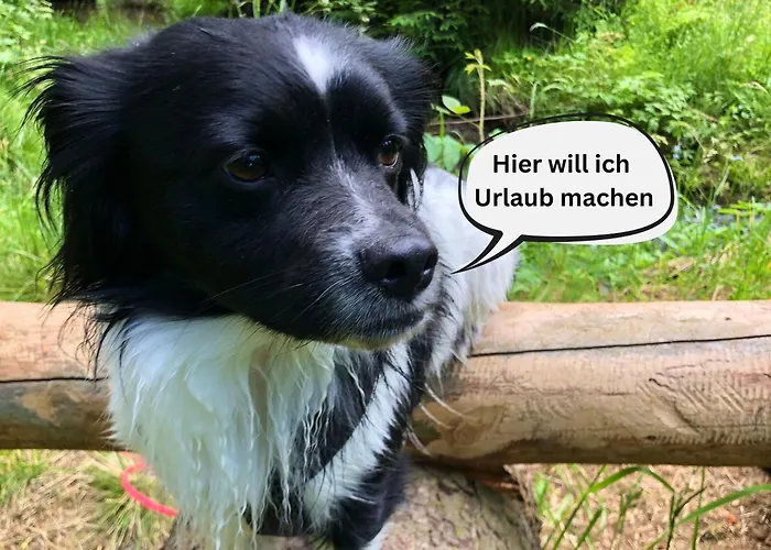 Vakantiehuis Tiny House - Auszeit Im Wald Am Badesee *