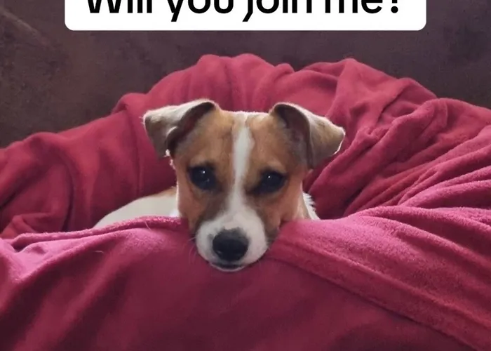 Tiny House - Auszeit Im Wald Am Badesee Vakantiehuis