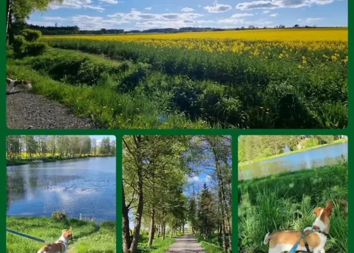Tiny House - Auszeit Im Wald Am Badesee Vakantiehuis *