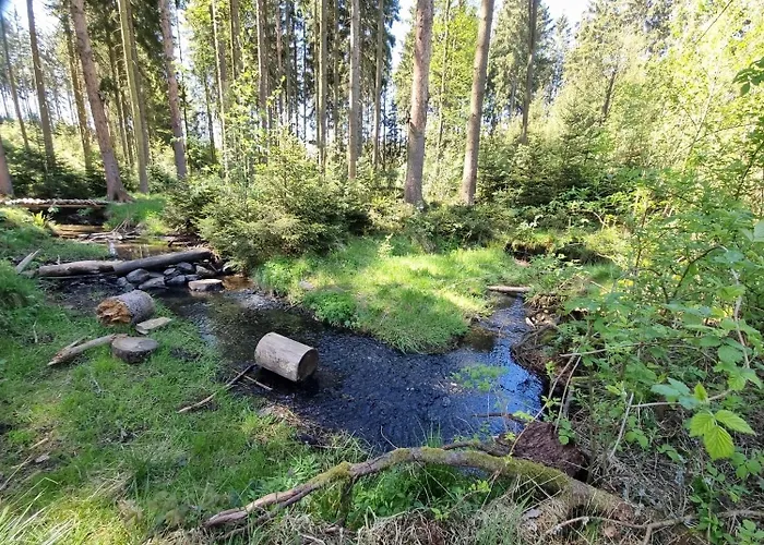 Tiny House - Auszeit Im Wald Am Badesee Vakantiehuis