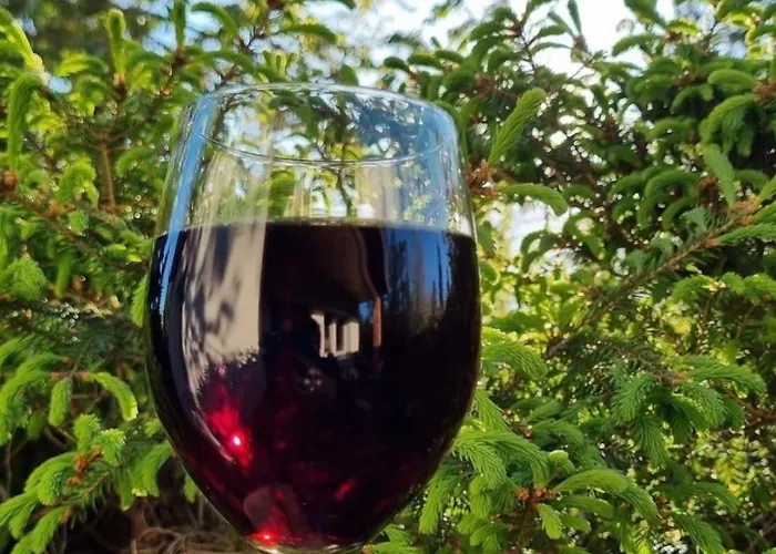 Tiny House - Auszeit Im Wald Am Badesee *