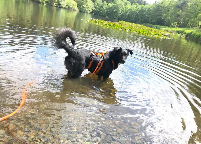 Vakantiehuis Tiny House - Auszeit Im Wald Am Badesee *