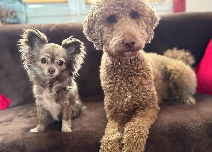 Vakantiehuis Tiny House - Auszeit Im Wald Am Badesee *